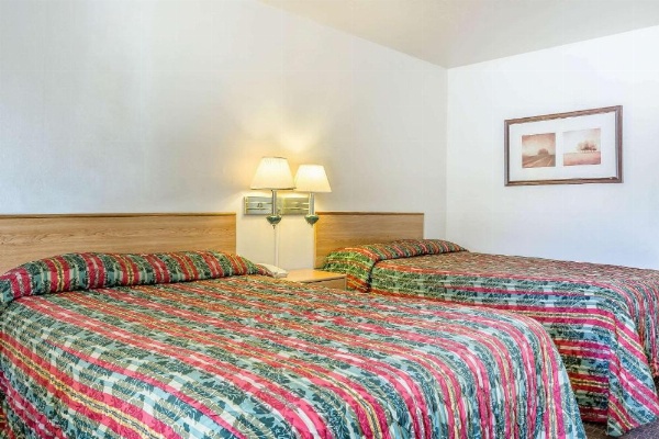 Rodeway Inn Magic Mountain Area image 13