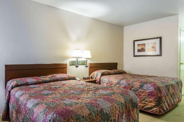 Rodeway Inn Magic Mountain Area image 14